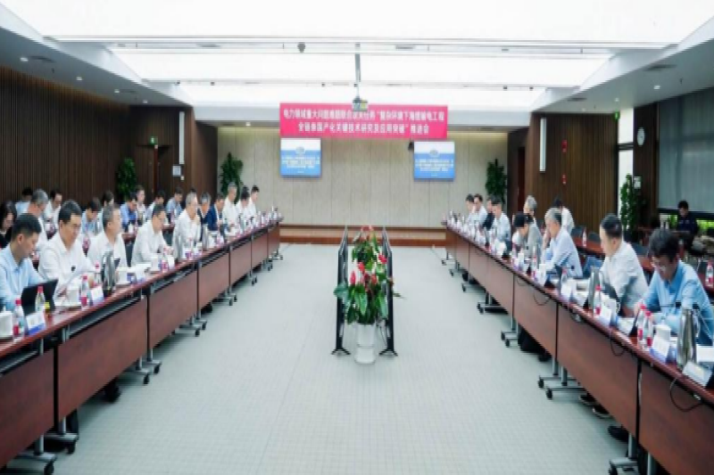 中国电机工程学会“复杂环境下海缆输电工程全链条国产化关键技术研究及应用突破”联合攻关任务推进会在穗召开