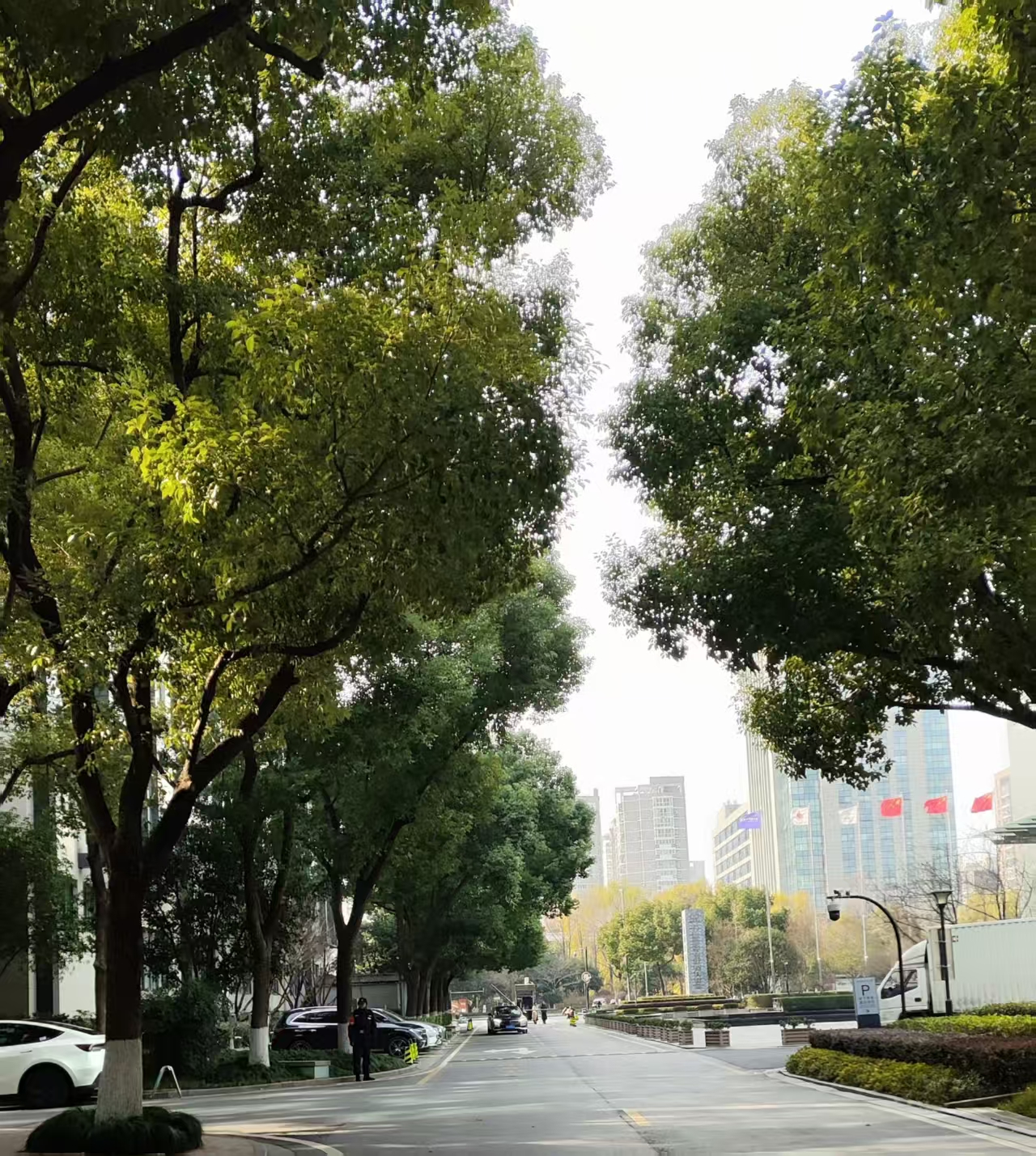 汇聚政企智慧 共筑智能底座 自治区工信厅聚焦“人工智能 制造”开展座谈会