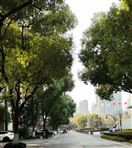 汇聚政企智慧 共筑智能底座 自治区工信厅聚焦“人工智能 制造”开展座谈会